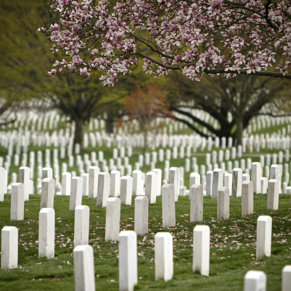 arlington national cemetery